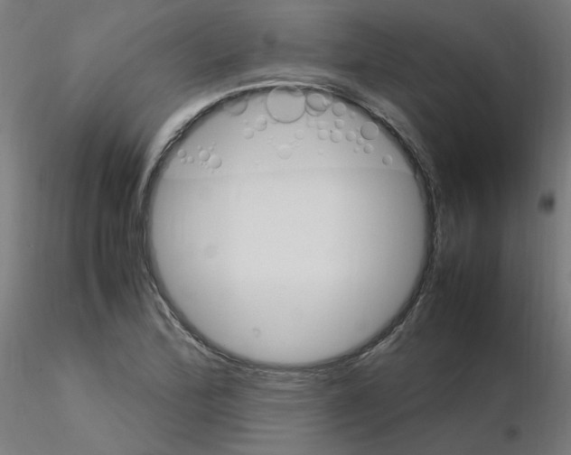 X0000115561172200912181610