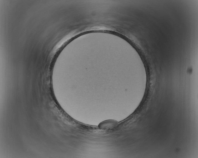 X0000115561173200912181610