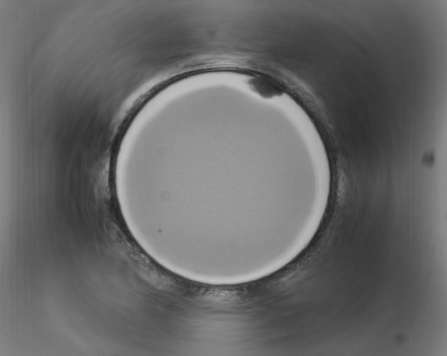 X0000115561174200912181610