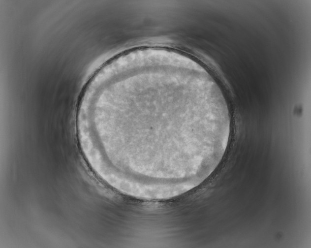 X0000115561176200912181610