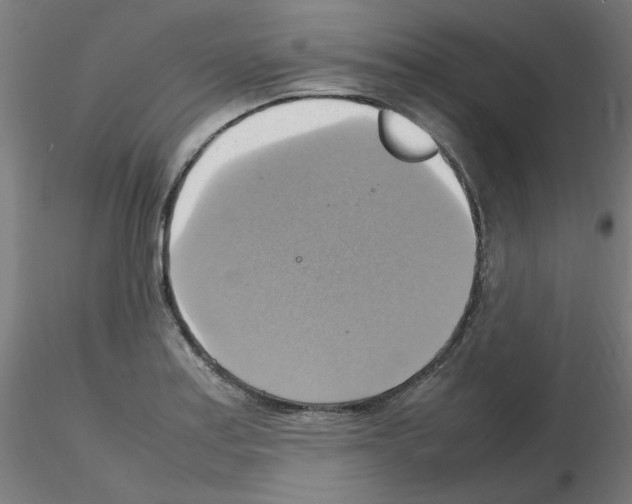 X0000115561179200912181610