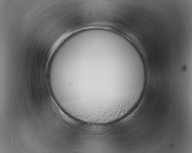 X0000115561180200912181610