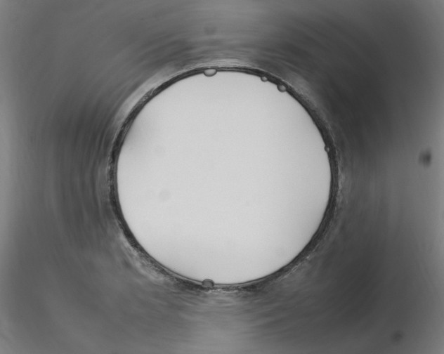 X0000115561181200912181610