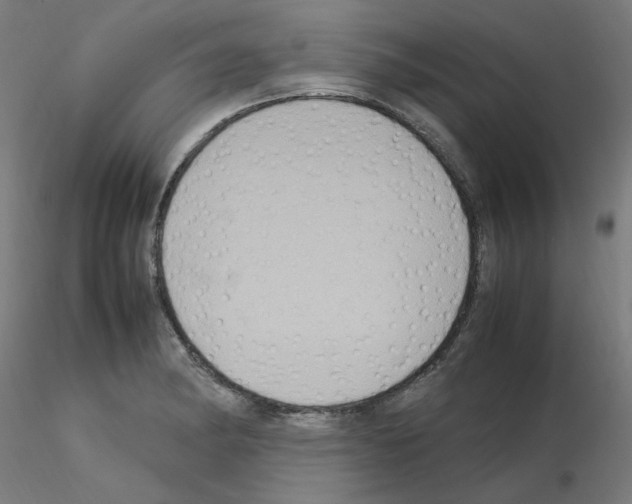 X0000115561182200912181610