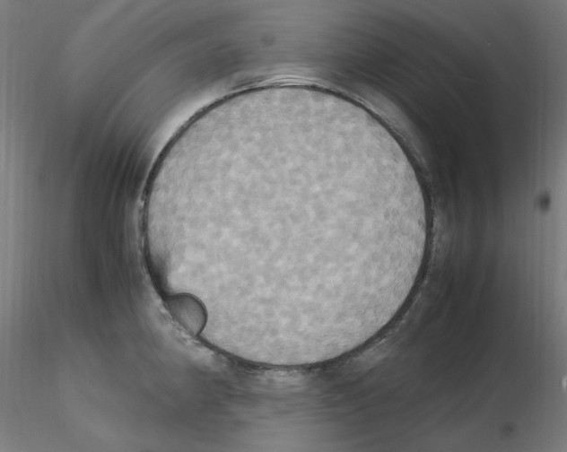 X0000115561190200912181610