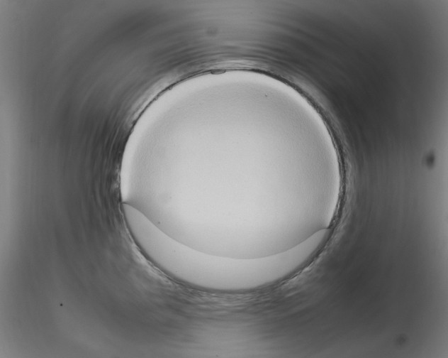 X0000115561193200912181610