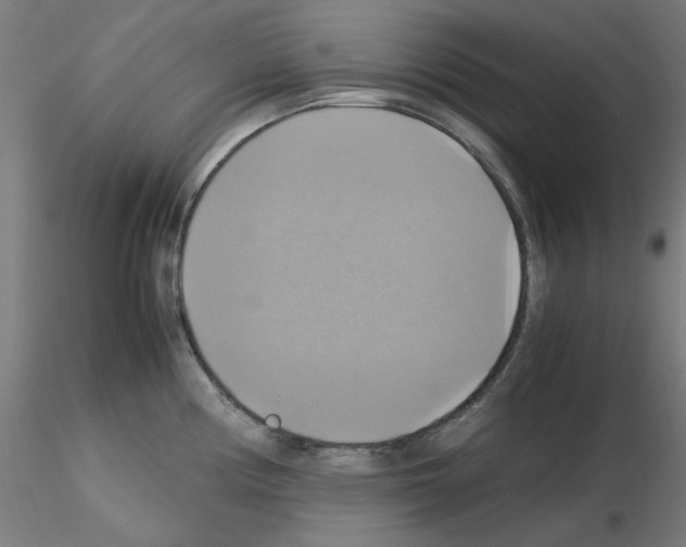 X0000115561194200912181610