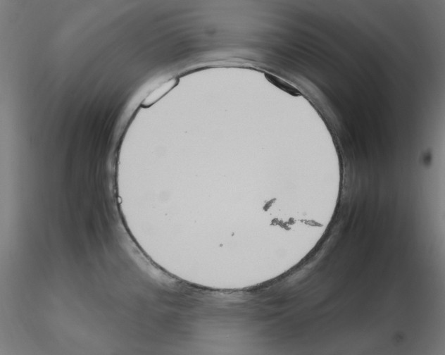 X0000115561196200912181610