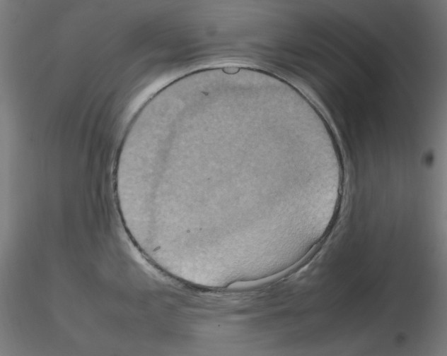 X0000115561197200912181610