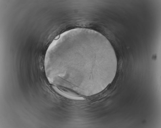 X0000115561202200912181609