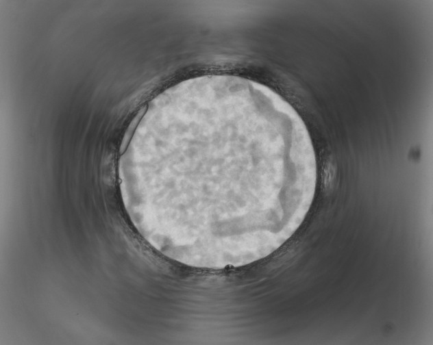 X0000115561204200912181609