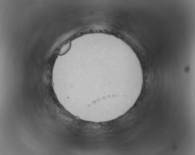 X0000115561207200912181609