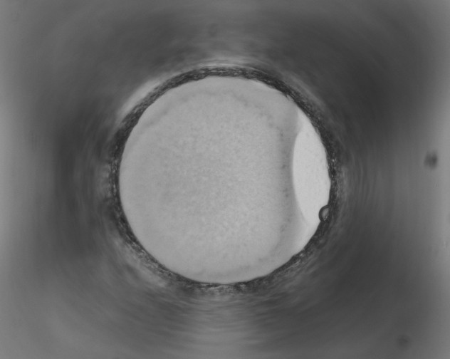 X0000115561208200912181609