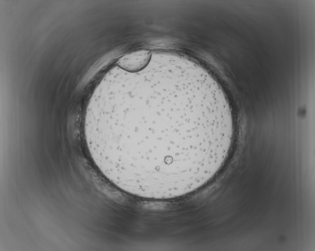 X0000115561211200912181609