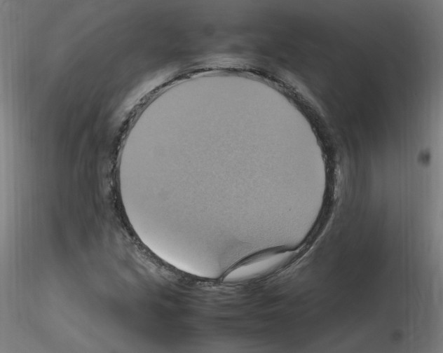 X0000115561213200912181609