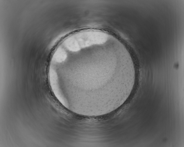 X0000115561214200912181609