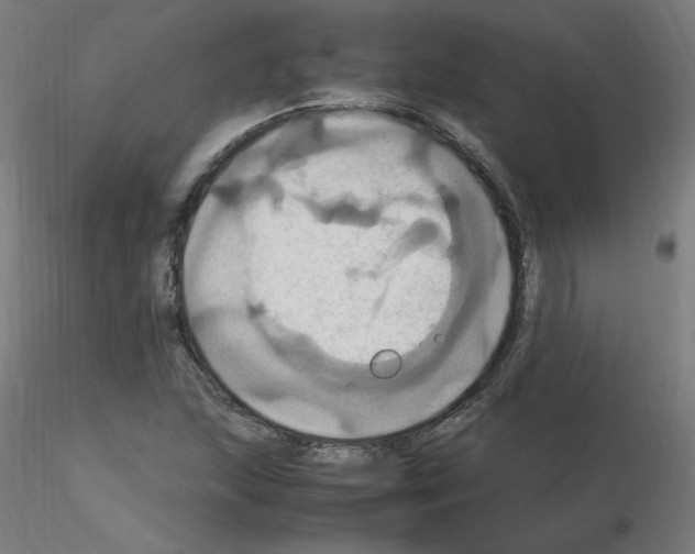 X0000115561215200912181609