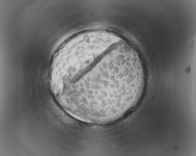 X0000115561216200912181609