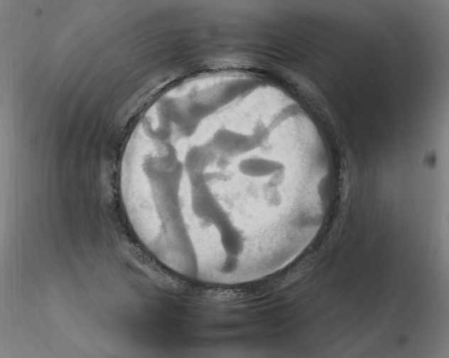 X0000115561217200912181609