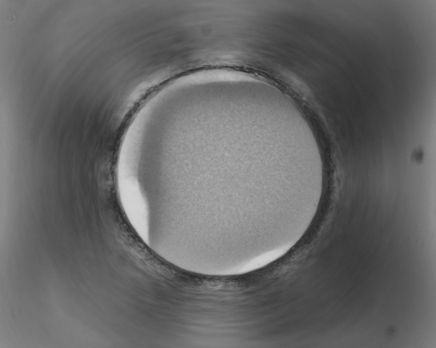 X0000115561218200912181609