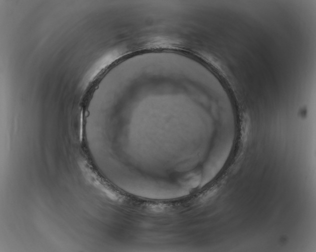 X0000115561219200912181609