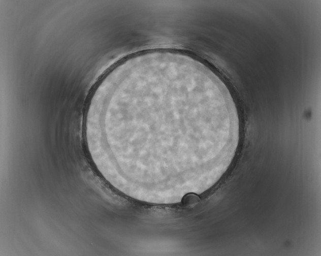 X0000115561220200912181609