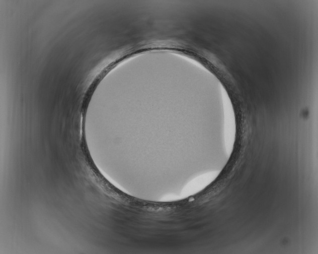 X0000115561221200912181609