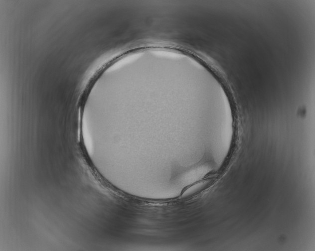 X0000115561223200912181609