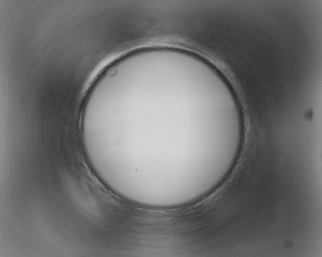 X0000115561224200912181609