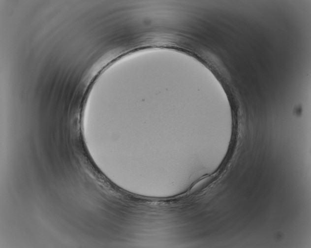 X0000115561226200912181609