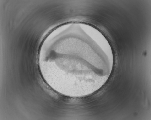 X0000115561232200912181609