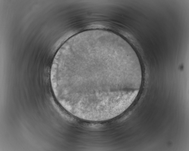 X0000115561233200912181609