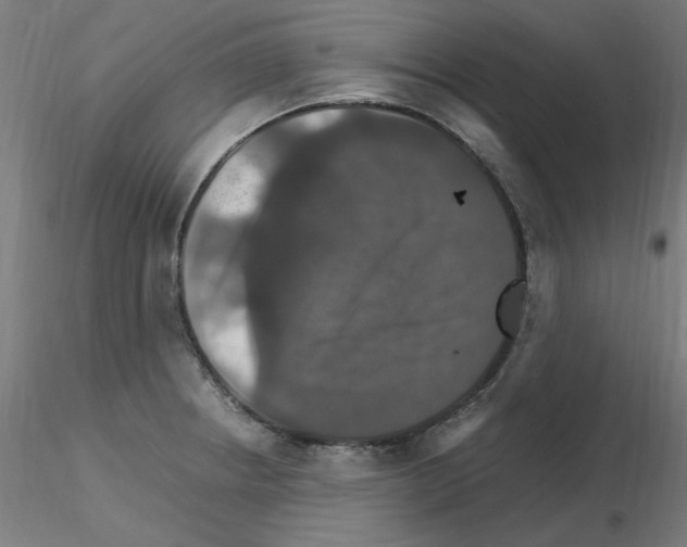 X0000115561234200912181609