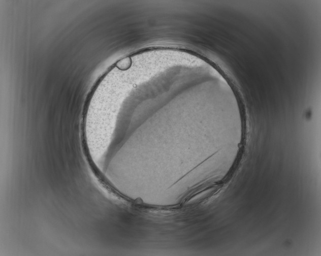 X0000115561237200912181609