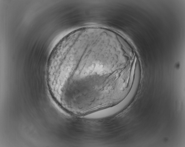 X0000115561239200912181609