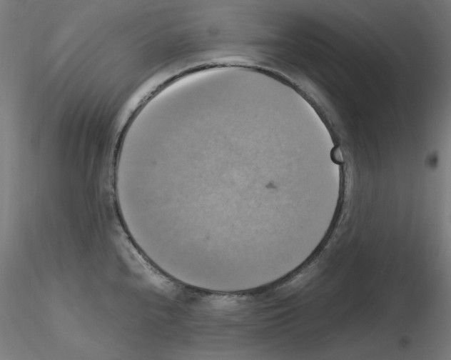 X0000115561240200912181609