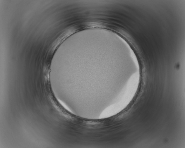 X0000115561241200912181609