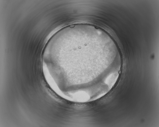 X0000115561242200912181609