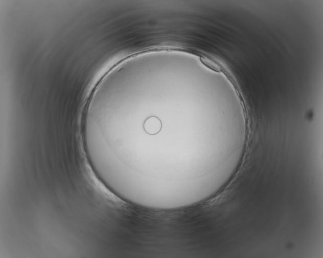 X0000115561243200912181609