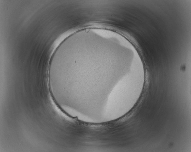 X0000115561247200912181610