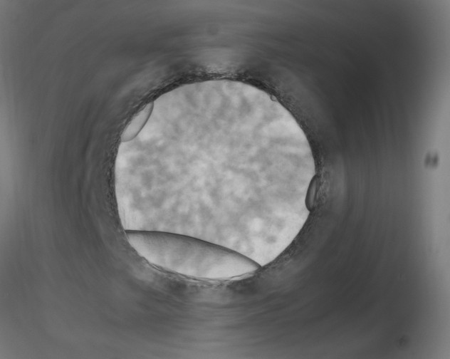 X0000115561249200912181609