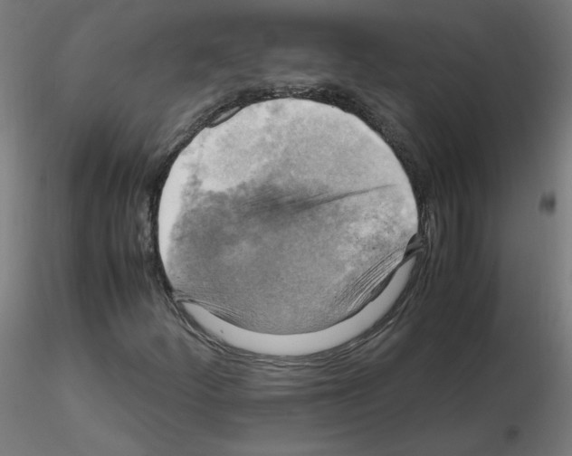 X0000115561252200912181609