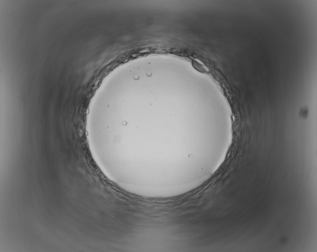 X0000115561253200912181609