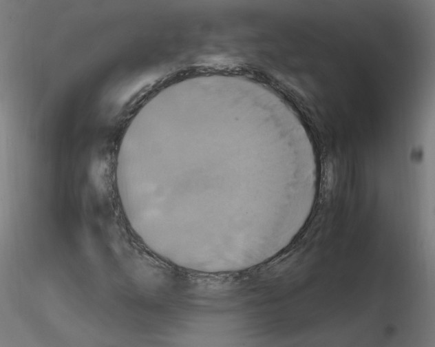 X0000115561254200912181609