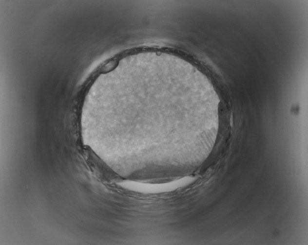 X0000115561256200912181609