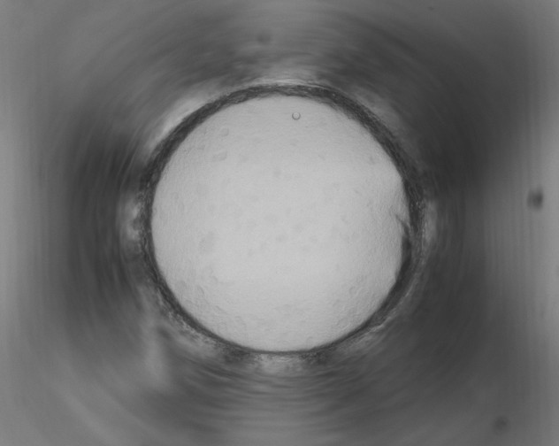 X0000115561258200912181609