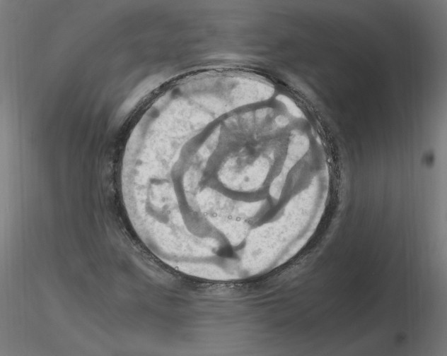 X0000115561259200912181609