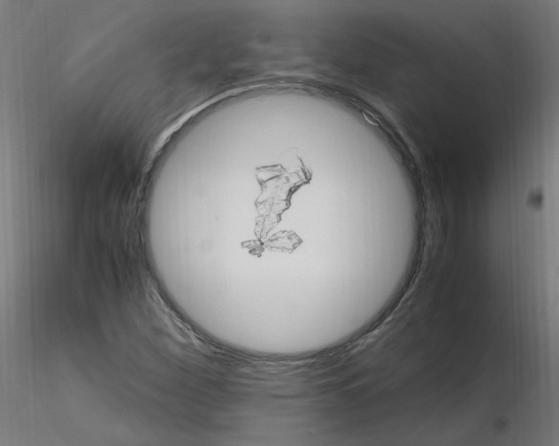 X0000115561260200912181609