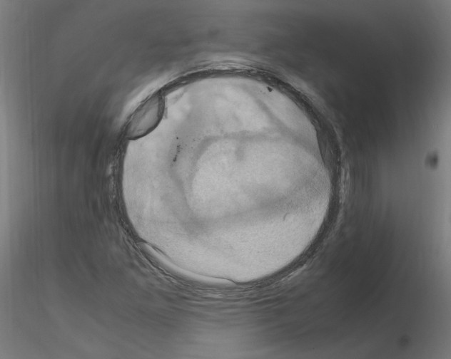 X0000115561261200912181609