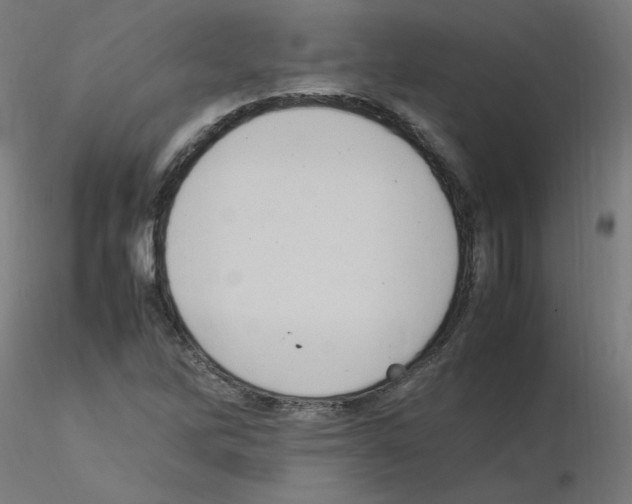 X0000115561262200912181609